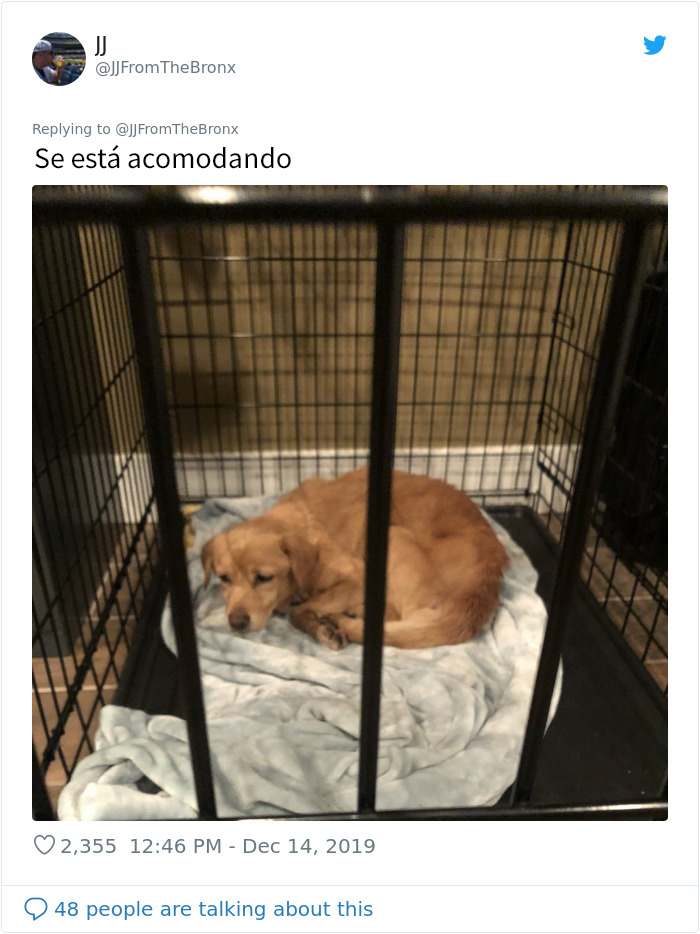Este hombre dejó sin querer abierta la puerta de su casa y fue "elegido" por un perro callejero que se coló por la noche