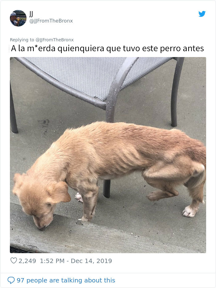 Este hombre dejó sin querer abierta la puerta de su casa y fue "elegido" por un perro callejero que se coló por la noche