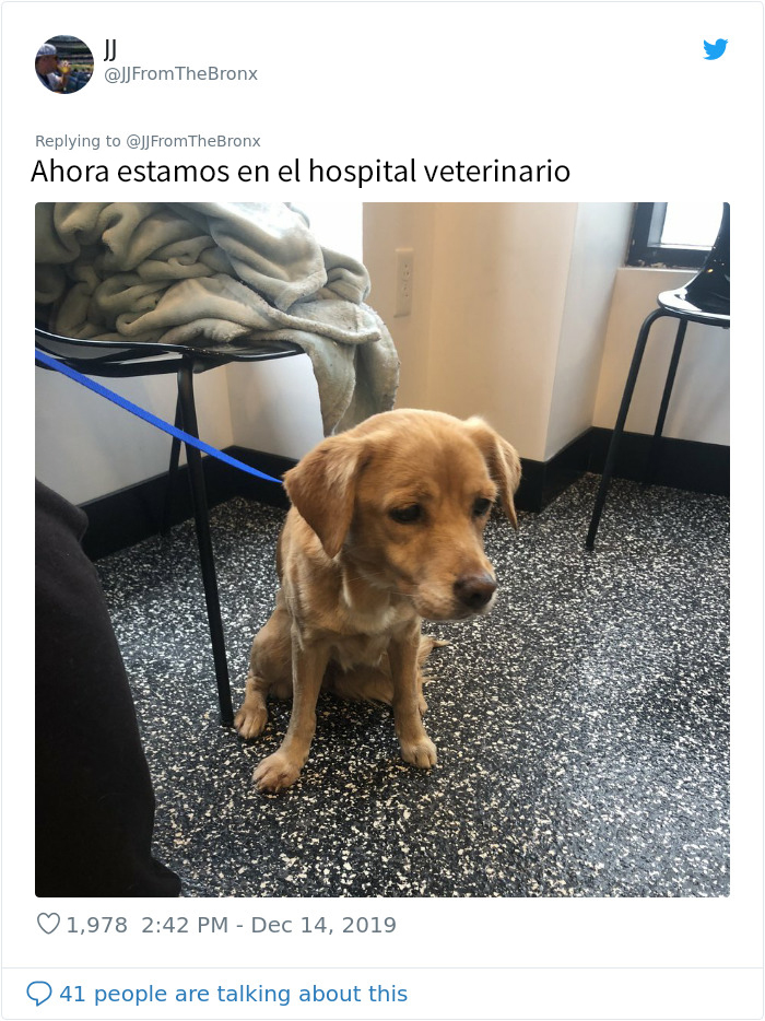 Este hombre dejó sin querer abierta la puerta de su casa y fue "elegido" por un perro callejero que se coló por la noche