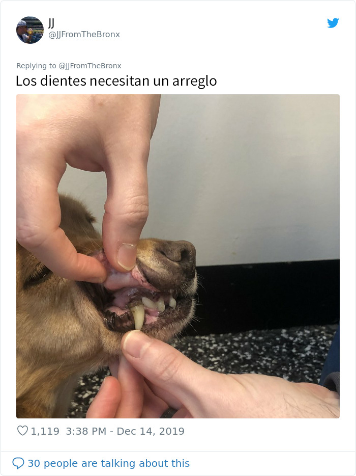 Este hombre dejó sin querer abierta la puerta de su casa y fue "elegido" por un perro callejero que se coló por la noche