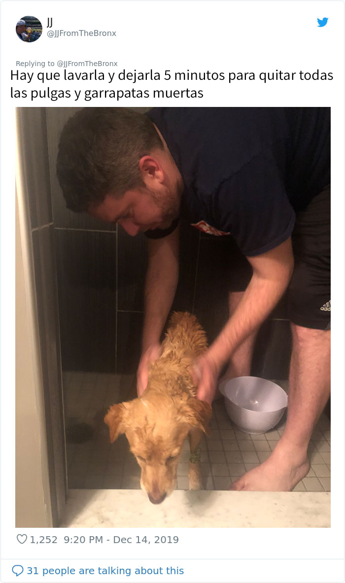 Este hombre dejó sin querer abierta la puerta de su casa y fue "elegido" por un perro callejero que se coló por la noche