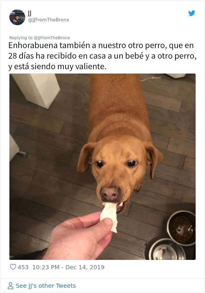 Este hombre dejó sin querer abierta la puerta de su casa y fue "elegido" por un perro callejero que se coló por la noche