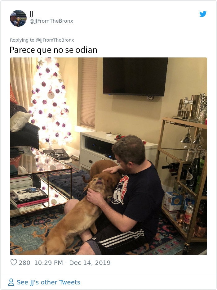 Este hombre dejó sin querer abierta la puerta de su casa y fue "elegido" por un perro callejero que se coló por la noche