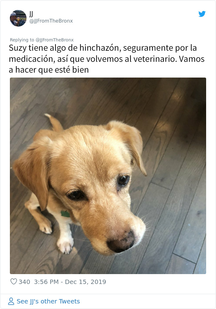 Este hombre dejó sin querer abierta la puerta de su casa y fue "elegido" por un perro callejero que se coló por la noche