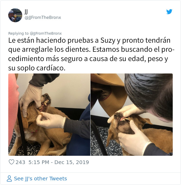 Este hombre dejó sin querer abierta la puerta de su casa y fue "elegido" por un perro callejero que se coló por la noche