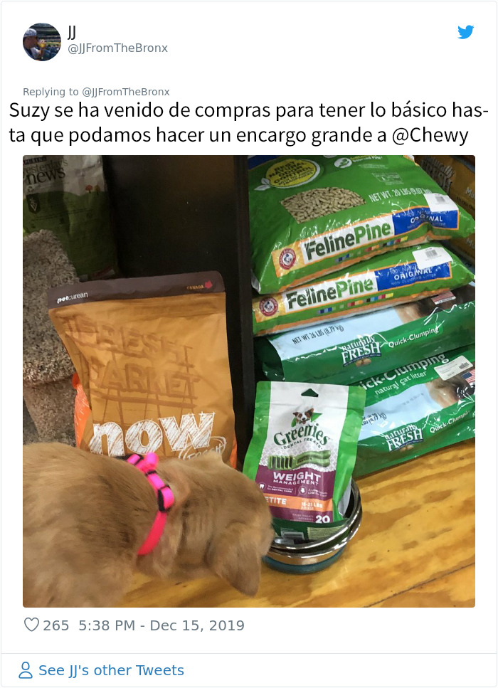 Este hombre dejó sin querer abierta la puerta de su casa y fue "elegido" por un perro callejero que se coló por la noche