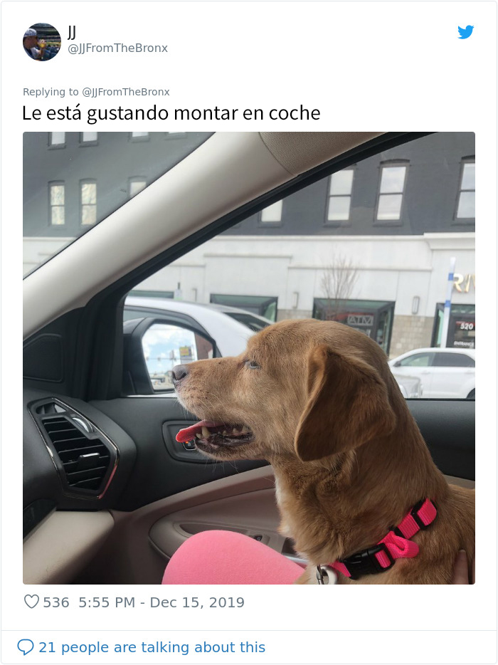 Este hombre dejó sin querer abierta la puerta de su casa y fue "elegido" por un perro callejero que se coló por la noche