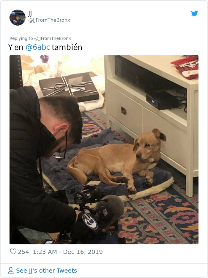 Este hombre dejó sin querer abierta la puerta de su casa y fue "elegido" por un perro callejero que se coló por la noche
