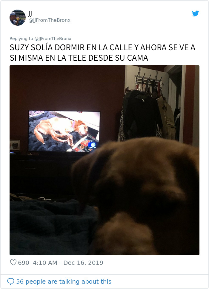 Este hombre dejó sin querer abierta la puerta de su casa y fue "elegido" por un perro callejero que se coló por la noche