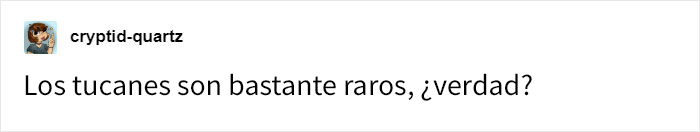 La gente se da cuenta de repente de lo raros que son los tucanes, y comparten datos sobre ellos
