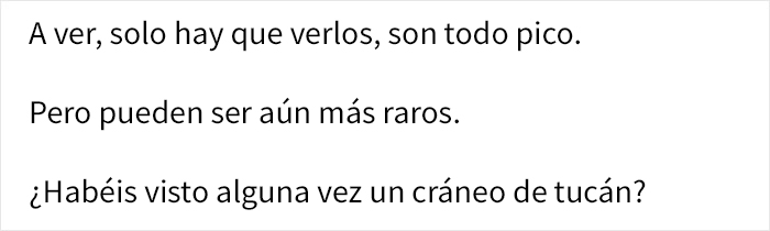 La gente se da cuenta de repente de lo raros que son los tucanes, y comparten datos sobre ellos