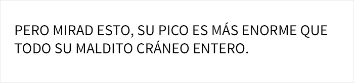 La gente se da cuenta de repente de lo raros que son los tucanes, y comparten datos sobre ellos