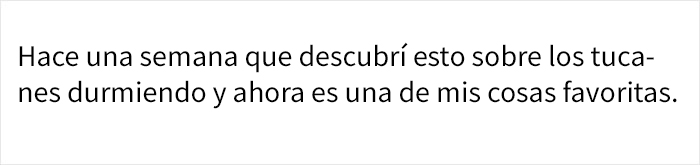 La gente se da cuenta de repente de lo raros que son los tucanes, y comparten datos sobre ellos