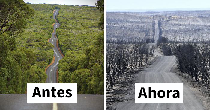 19 Fotos de Australia antes y ahora que muestran los daños de los incendios