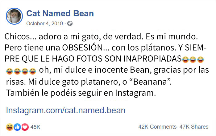 Este gato obsesionado con los plátanos se vuelve viral por lo inapropiadas que parecen sus fotos