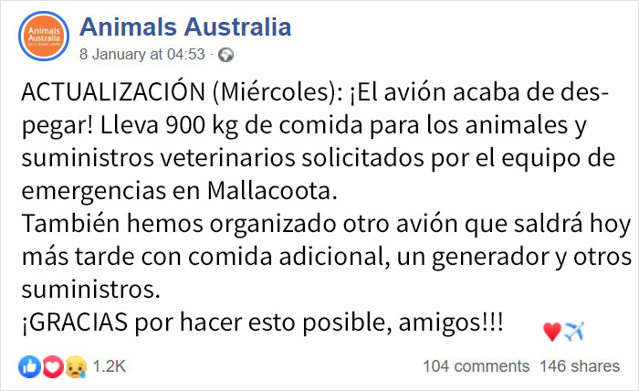 Los animales supervivientes de los incendios de Australia se mueren de hambre, así que se están lanzando toneladas de vegetales desde aviones