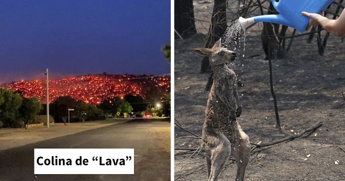 40 Fotos que resumen el infierno que está teniendo lugar en Australia