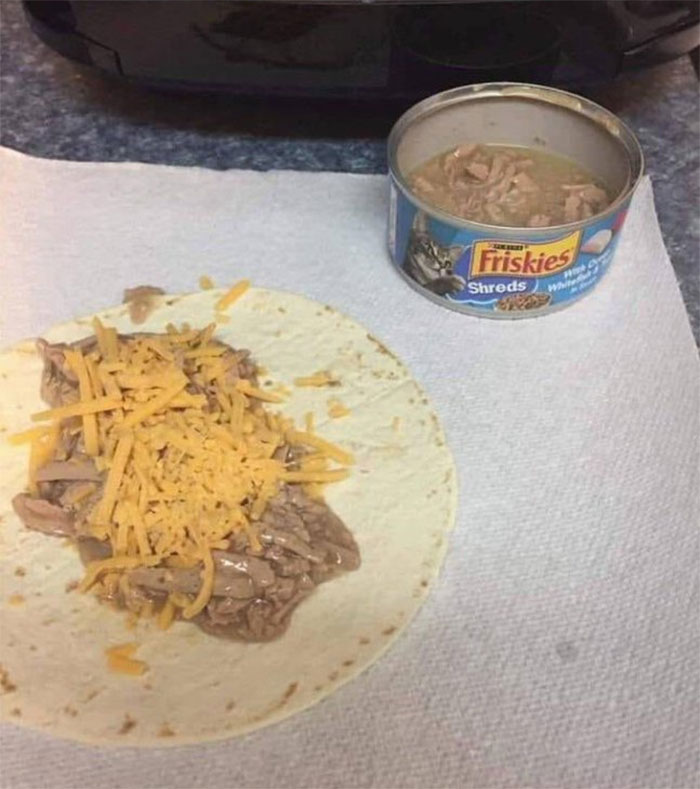 Preparando Tacos Con Comida De Gato Para La Persona Que Me Roba El Almuerzo En El Trabajo