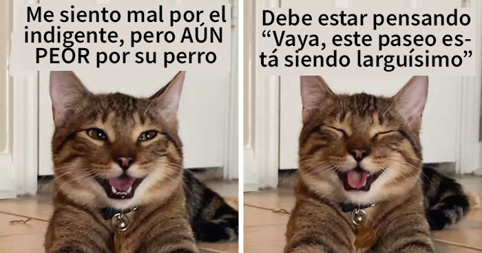 Esta mujer subió fotos de su gato riendo, y se ha convertido en el nuevo meme de las «bromas de padre» (10 imágenes)