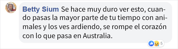 Robert Irwin intenta contener las lágrimas durante una discusión sobre el impacto de los incendios de Australia