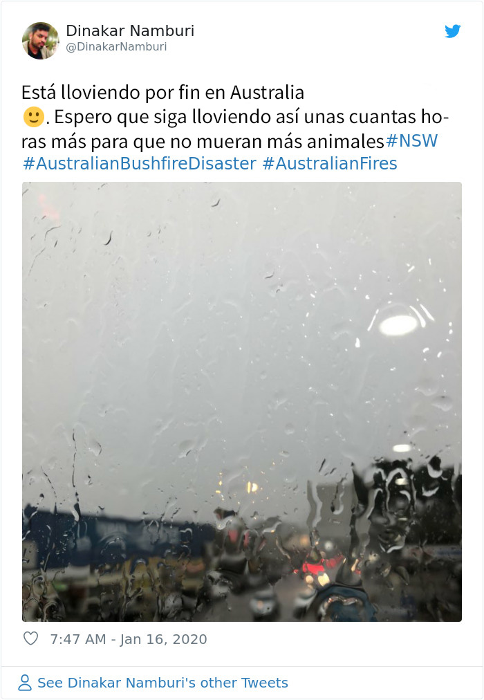 Al fin cae la lluvia en Australia y apaga más de 30 incendios