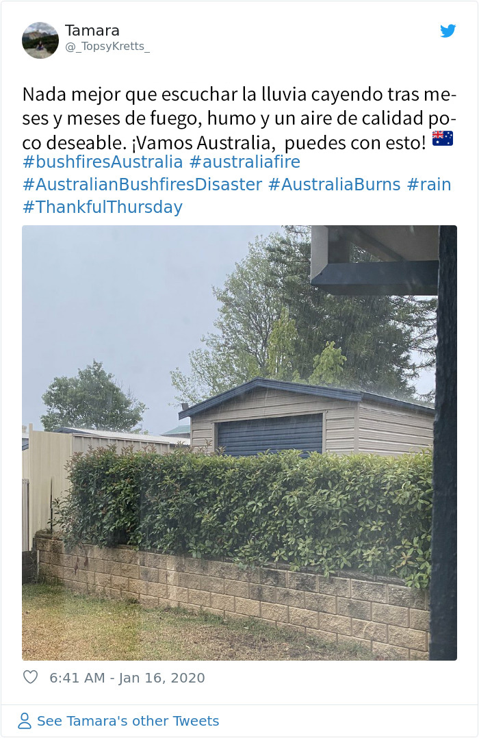 Al fin cae la lluvia en Australia y apaga más de 30 incendios