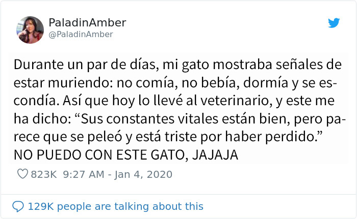La gente comparte divertidas historias sobre momentos en que pensaban que sus mascotas se estaban muriendo