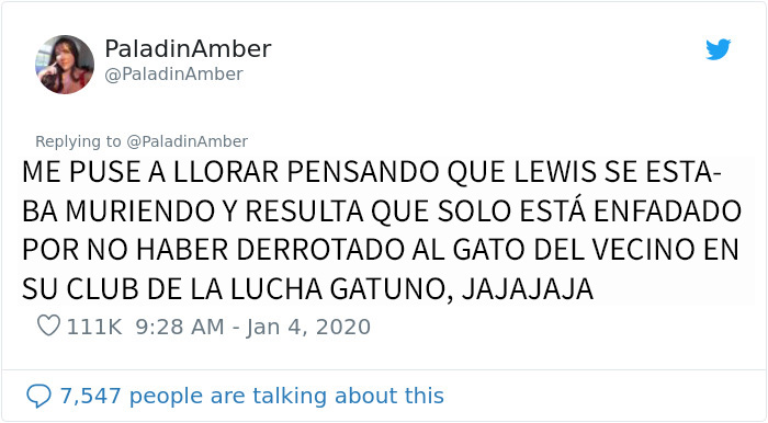 La gente comparte divertidas historias sobre momentos en que pensaban que sus mascotas se estaban muriendo
