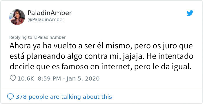 La gente comparte divertidas historias sobre momentos en que pensaban que sus mascotas se estaban muriendo