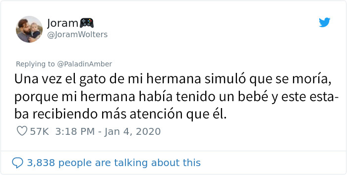 La gente comparte divertidas historias sobre momentos en que pensaban que sus mascotas se estaban muriendo