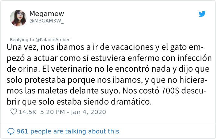 La gente comparte divertidas historias sobre momentos en que pensaban que sus mascotas se estaban muriendo