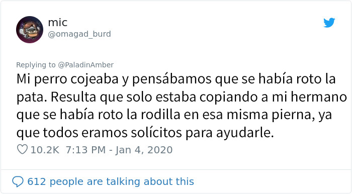 La gente comparte divertidas historias sobre momentos en que pensaban que sus mascotas se estaban muriendo