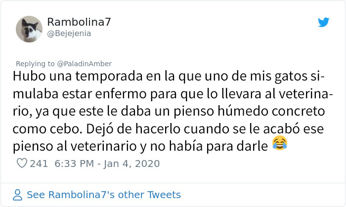 La gente comparte divertidas historias sobre momentos en que pensaban que sus mascotas se estaban muriendo