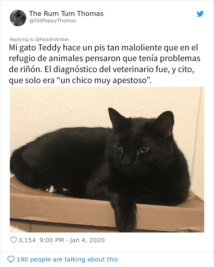 La gente comparte divertidas historias sobre momentos en que pensaban que sus mascotas se estaban muriendo