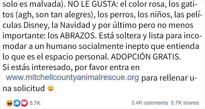 Este refugio de animales puso en adopción a "la peor gata del mundo" y a la gente le encanta la descripción