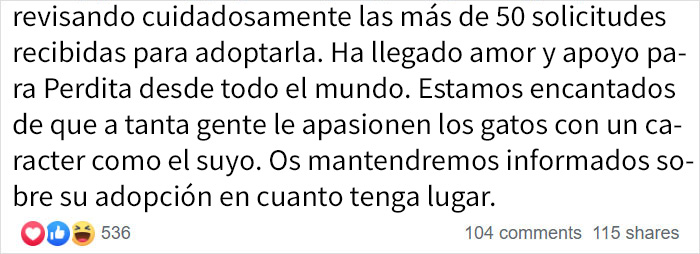 Este refugio de animales puso en adopción a "la peor gata del mundo" y a la gente le encanta la descripción