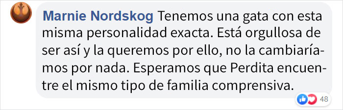 Este refugio de animales puso en adopción a "la peor gata del mundo" y a la gente le encanta la descripción