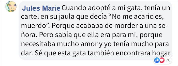 Este refugio de animales puso en adopción a "la peor gata del mundo" y a la gente le encanta la descripción