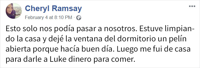 La policía llamó a este hombre para informarle de que su husky estaba sentado en el tejado, proporcionando divertidas pruebas