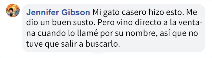La policía llamó a este hombre para informarle de que su husky estaba sentado en el tejado, proporcionando divertidas pruebas