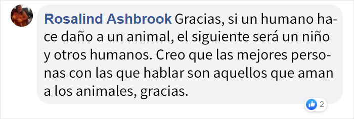 A la gente le encanta este juez de Ohio que castiga a los maltratadores de animales con su propia medicina