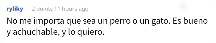 La gente dice que este cachorro parece un híbrido de gato y perro, y sus expresiones son divertidísimas