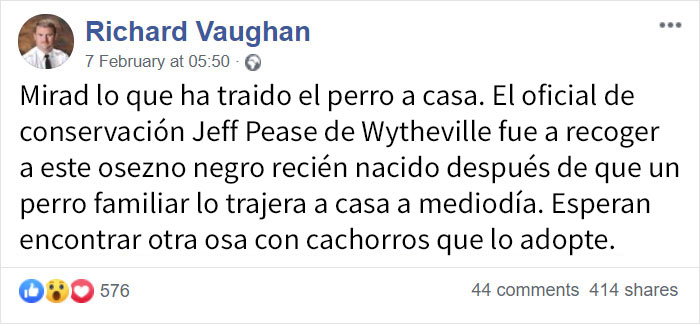 Este perro trajo a casa a una criaturita, y resultó ser un osezno