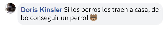Este perro trajo a casa a una criaturita, y resultó ser un osezno
