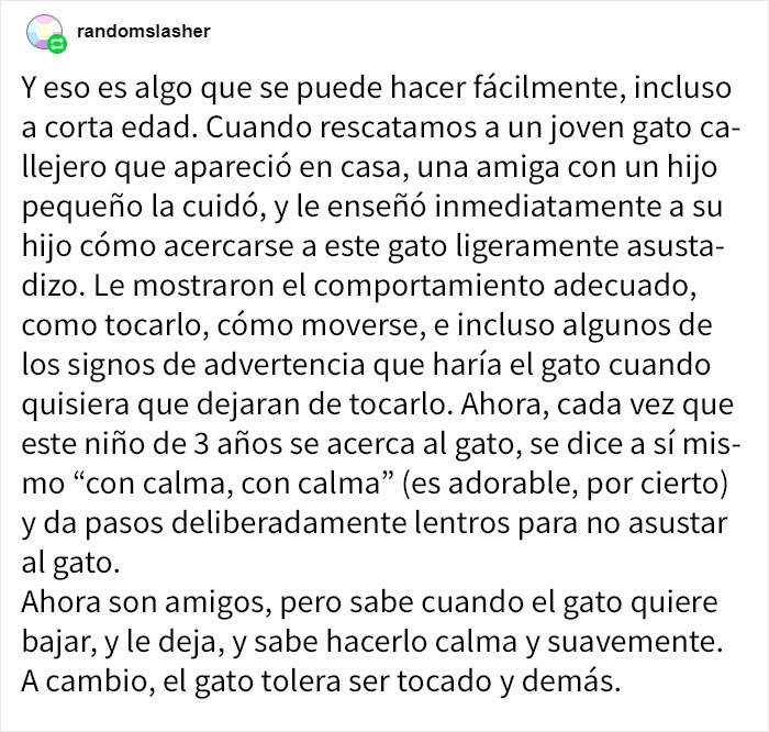 La gente está harta de que padres permitan a los niños maltratar a las mascotas, y explican lo estúpido y peligroso que es