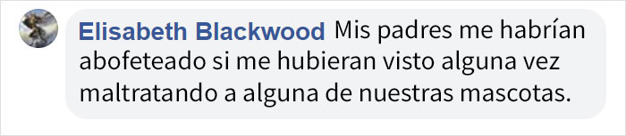 La gente está harta de que padres permitan a los niños maltratar a las mascotas, y explican lo estúpido y peligroso que es