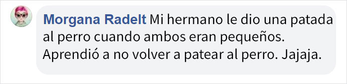 La gente está harta de que padres permitan a los niños maltratar a las mascotas, y explican lo estúpido y peligroso que es