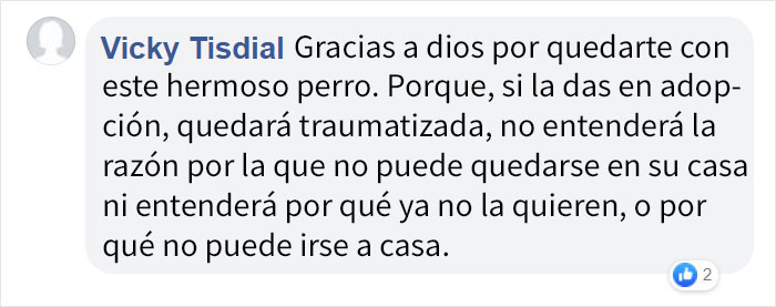 Antes de tener perro, lee las honestas palabras de este tipo sobre las dificultades que conlleva
