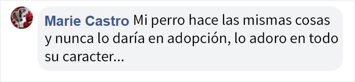 Antes de tener perro, lee las honestas palabras de este tipo sobre las dificultades que conlleva