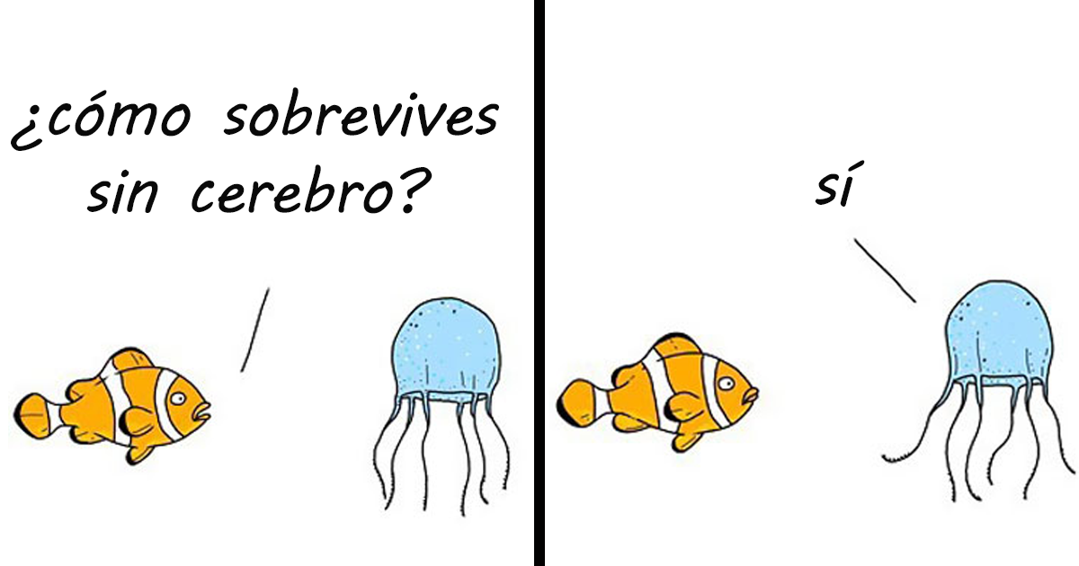 20 Cómics que muestran lo que dirían los animales si pudieran hablar (Nuevas Imágenes)